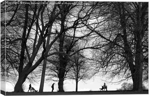 Walking in the park Canvas Print by Peter Zabulis
