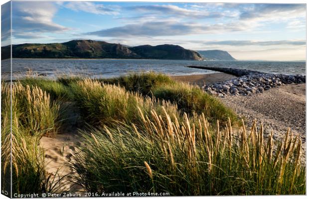Deganwy Dunes Canvas Print by Peter Zabulis