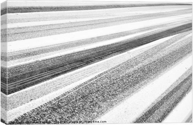 Snow Lines Canvas Print by Peter Zabulis