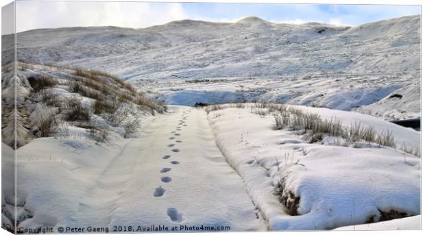 Footsteps in the snow Canvas Print by Peter Gaeng