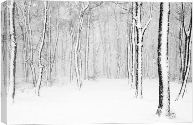 Winter in monochrome Canvas Print by geoff shoults