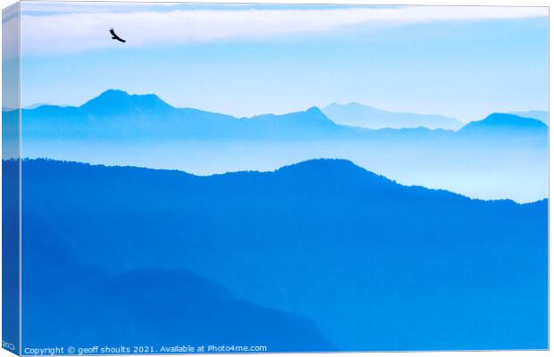 Blue dawn with Eagle Canvas Print by geoff shoults