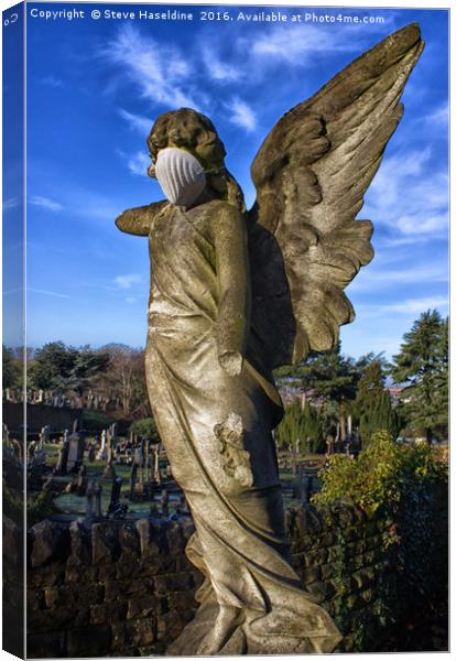 Angels with not so dirty faces Canvas Print by Steve Haseldine