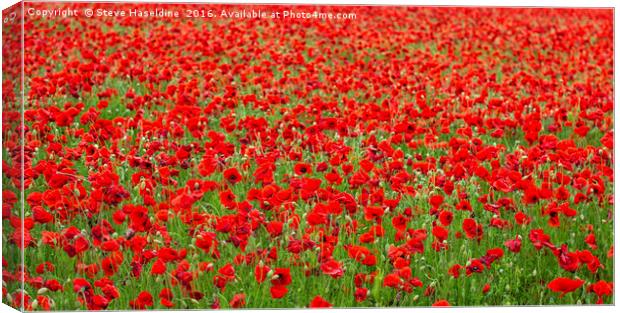 Sea of Poppies  Canvas Print by Steve Haseldine