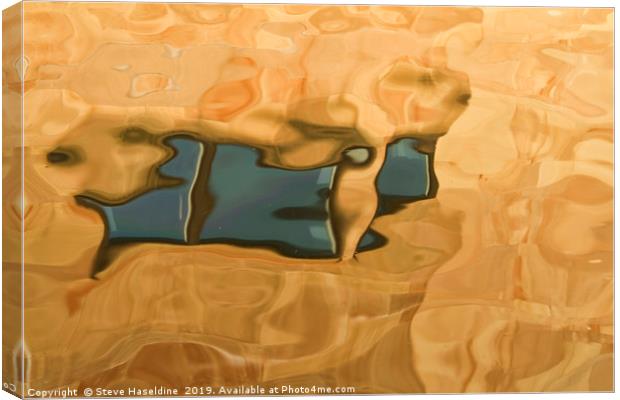 Abstract Fish Canvas Print by Steve Haseldine