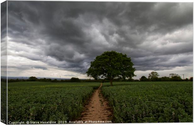 The Storm Path Canvas Print by Steve Haseldine