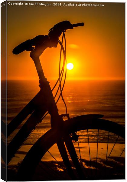 Cycling into the sunset Canvas Print by sue boddington