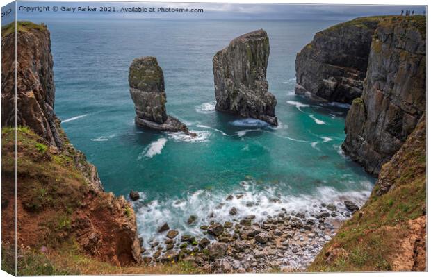 Elegug Stacks, Pembrokeshire, south Wales.  Canvas Print by Gary Parker