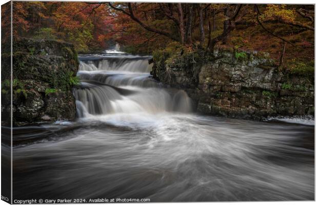 Autumn Waterfall Canvas Print by Gary Parker