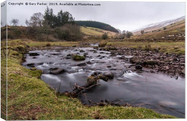 Fast flowing mountain stream in the Brecon Beacons Canvas Print by Gary Parker