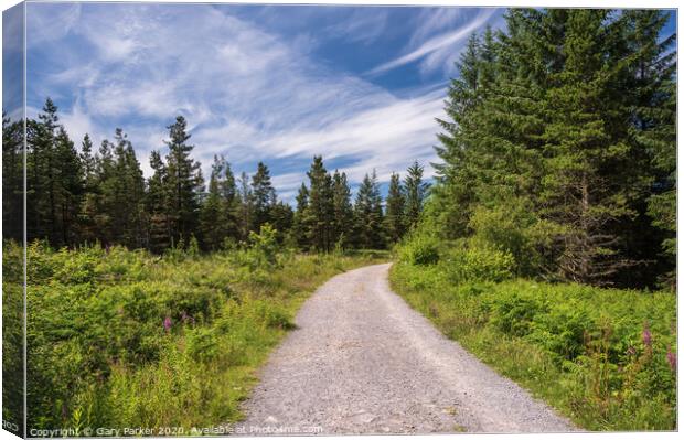 Road in the Brecon Beacons National Park, cutting through the trees	 Canvas Print by Gary Parker