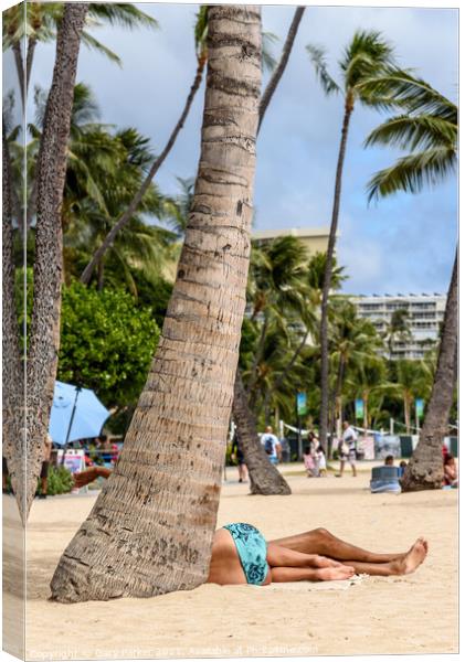 Waikiki Beach  Canvas Print by Gary Parker