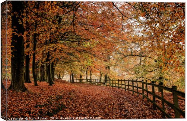 Ryburn in Autumn Canvas Print by Mark S Rosser