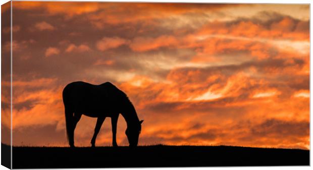 Yorkshire Sunset silhouette Canvas Print by Mark S Rosser