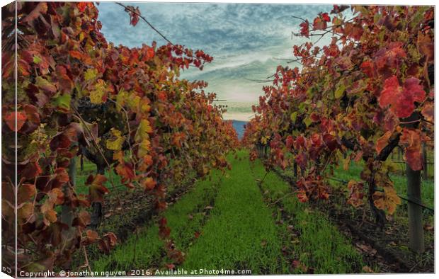 Red Vines 2 Canvas Print by jonathan nguyen