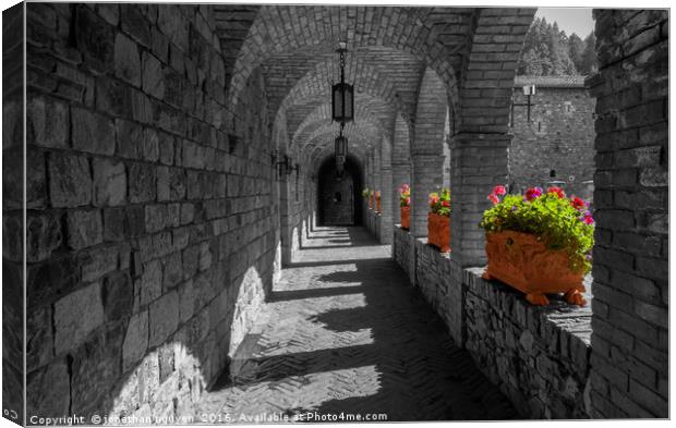 Along The Hallway Canvas Print by jonathan nguyen