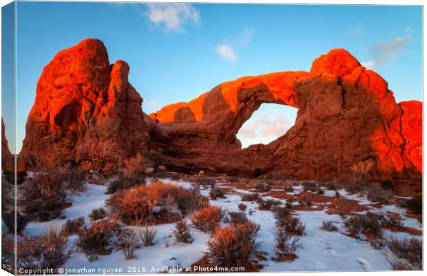 The Window Canvas Print by jonathan nguyen