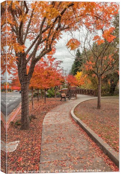 Yountville in Autumn Canvas Print by jonathan nguyen