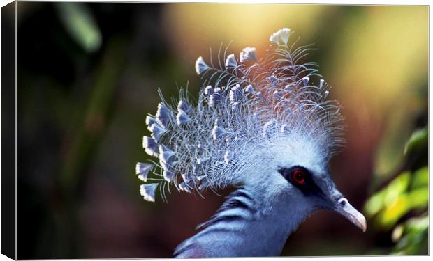 Victoria crowned Pigeon Canvas Print by Alfredo Bustos