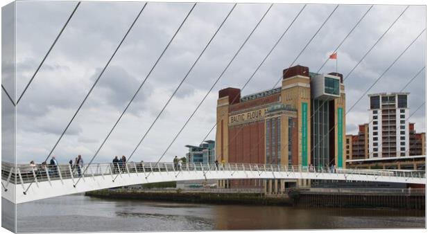 Gateshead Millennium Bridge and Baltic Flour Mill Canvas Print by Rob Cole