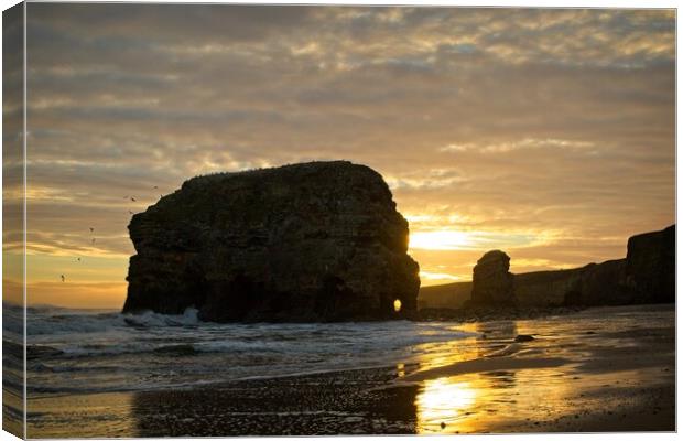 Majestic Sunrise at Marsden Rock Canvas Print by Rob Cole