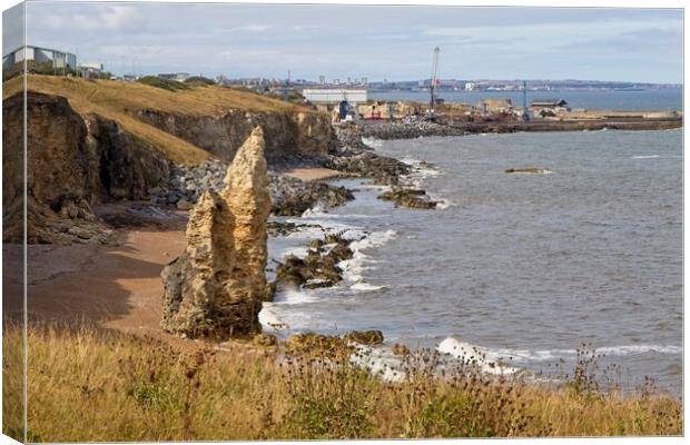 Chemical Beach, Seaham, County Durham Canvas Print by Rob Cole