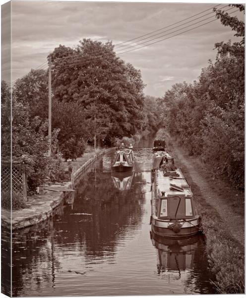 Montgomery Canal, Maesbury Marsh Canvas Print by Rob Cole