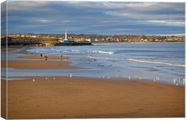 Seaburn from Roker Pier, Sunderland Canvas Print by Rob Cole