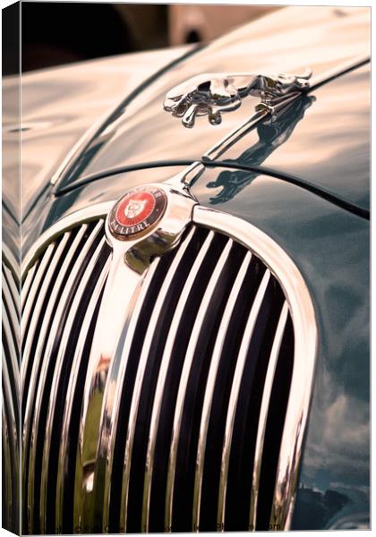 Jaguar Hood Emblem Canvas Print by Rob Cole