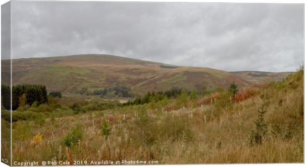 Majestic Scottish Borders Landscapes Canvas Print by Rob Cole