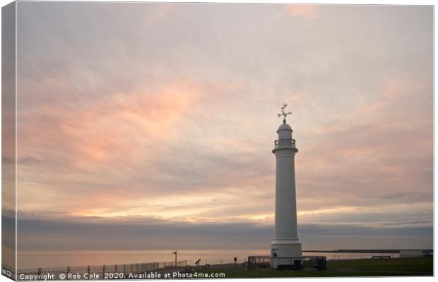 The White Lighthouse, Cliffe Park, Seaburn, Tyne a Canvas Print by Rob Cole