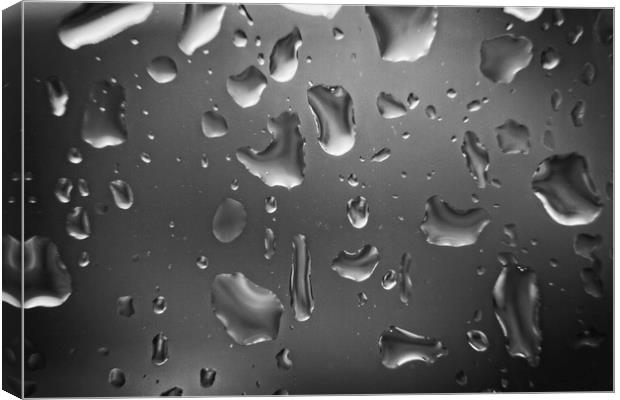 Raindrops Close-up on a Glass Window Canvas Print by Rob Cole