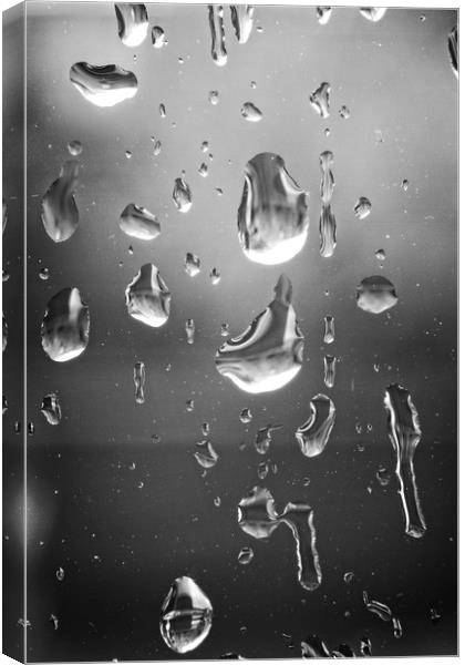 Dancing Raindrops Canvas Print by Rob Cole