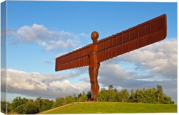 Angel of the North, North East England Canvas Print by Rob Cole