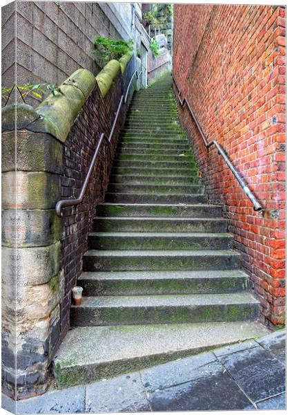 Dog Leap Stairs, Newcastle upon Tyne Canvas Print by Rob Cole