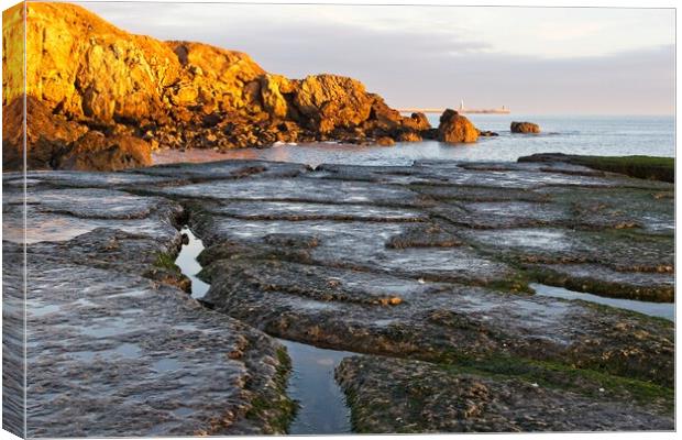Trow Point, South Sheilds Canvas Print by Rob Cole