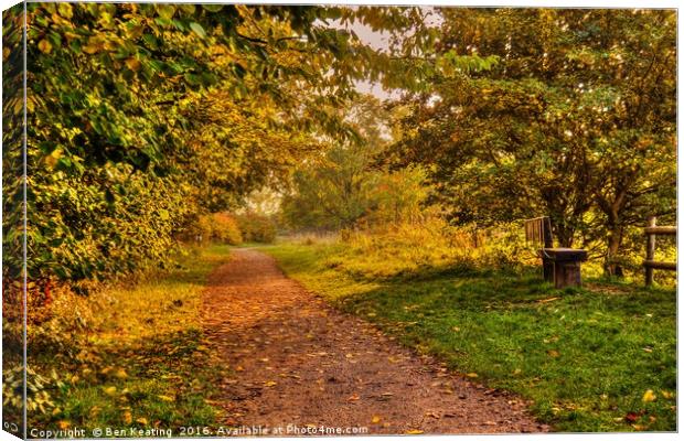 Barnwell Country Park Canvas Print by Ben Keating