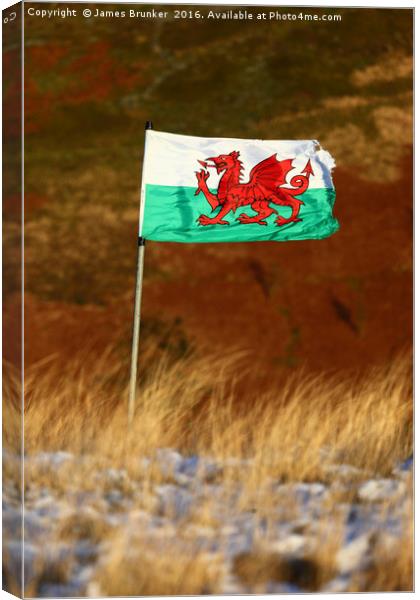 Welsh Flag and Winter Hillside Canvas Print by James Brunker