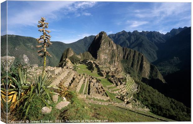 Inca City of Machu Picchu and Bromeliad Plant Peru Canvas Print by James Brunker