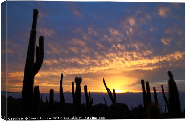 Cacti at Sunset on Incahuasi Island Salar de Uyuni Canvas Print by James Brunker