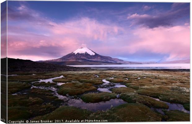 Parinacota Volcano and Lago Chungara Chile Canvas Print by James Brunker