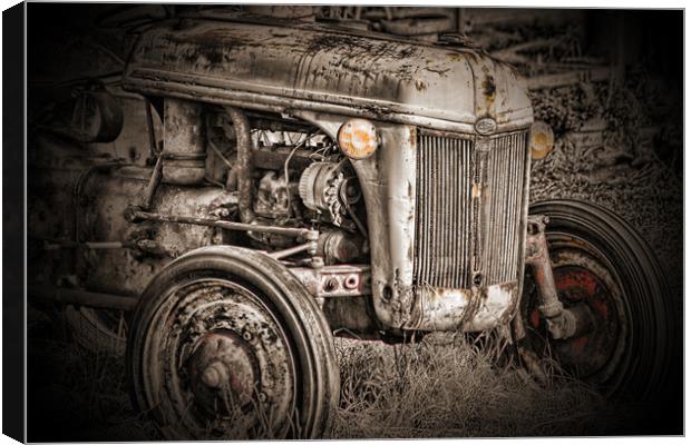 Seen Better Days Canvas Print by Carl Brownell