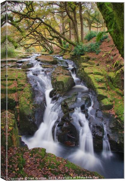 Waterfall at Shipley Bridge Canvas Print by Nymm Gratton