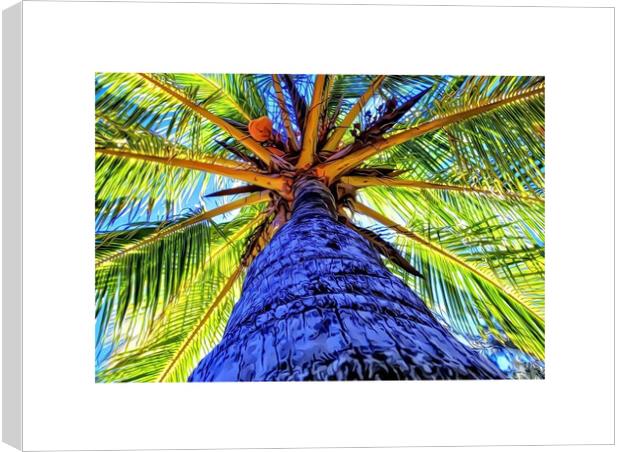 Abstract shape Coconut Tree Canvas Print by Rachid Karroo