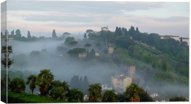 Hill in the mist Canvas Print by Ranko Dokmanovic