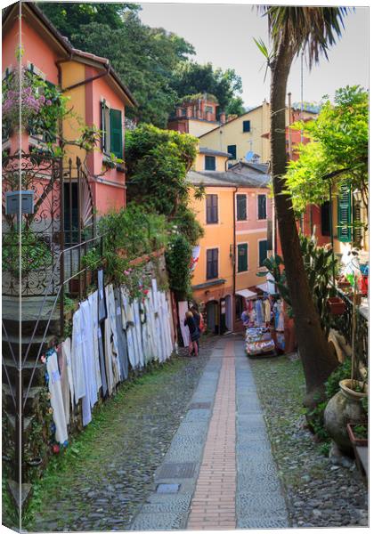 Portofino downhill Canvas Print by Ranko Dokmanovic