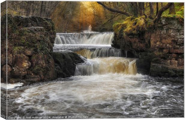 Horseshoe Falls at Pontneddfechan  Canvas Print by Neil Holman