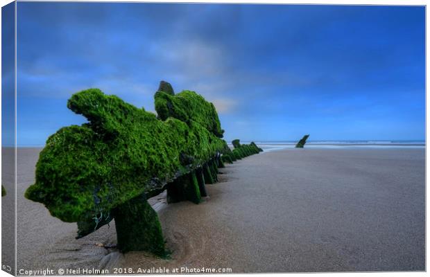 The Wreck of the Altmark on Kenfig Sands Canvas Print by Neil Holman
