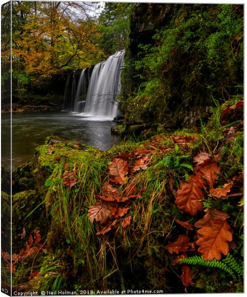 Sgwd Ddwli Waterfall, Brecon Beacons Canvas Print by Neil Holman