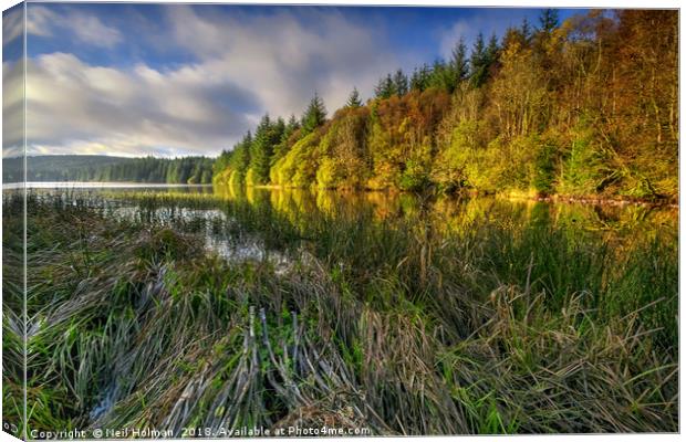 Cantref Reservoir, Brecon Beacon  Canvas Print by Neil Holman